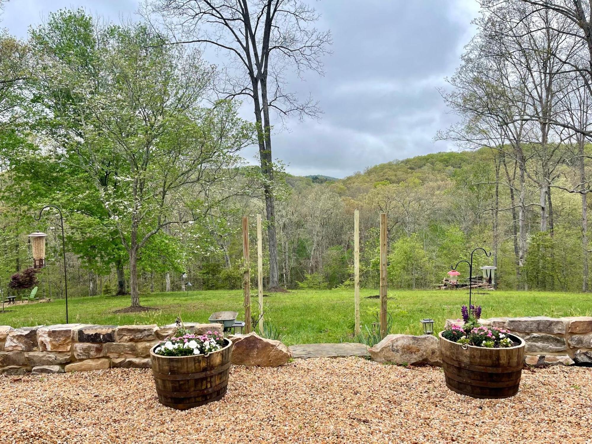 The Dogwood Inn Blue Ridge Buitenkant foto